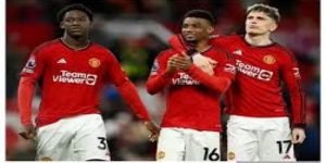 开云体育真人娱乐全攻略